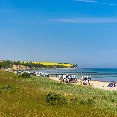 Victoria, Seestern *