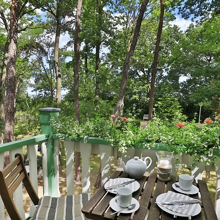 Διαμέρισμα Victoria, Seestern *